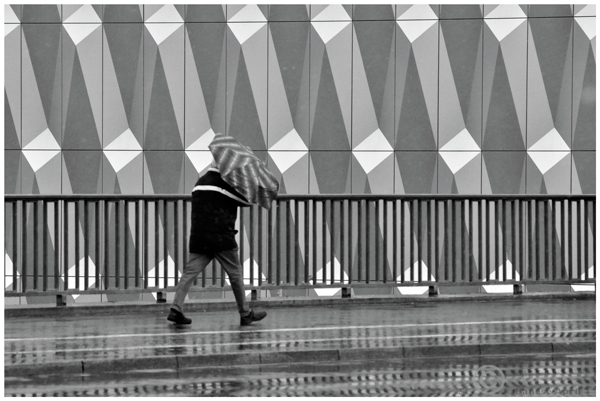 galerie-yvert-sebastian-banse-pattern-Umbrella